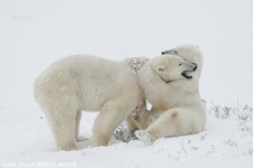 资金经理岗位职责