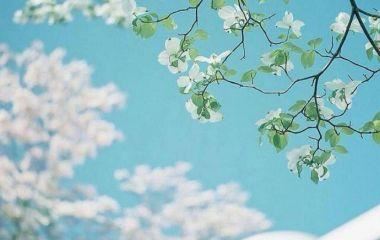 科技英语翻译岗位职责