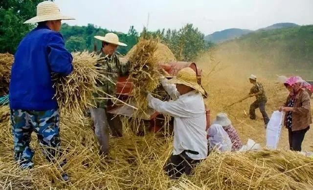 总助兼人事主管岗位职责