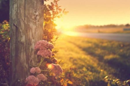 金融研发部总监岗位职责