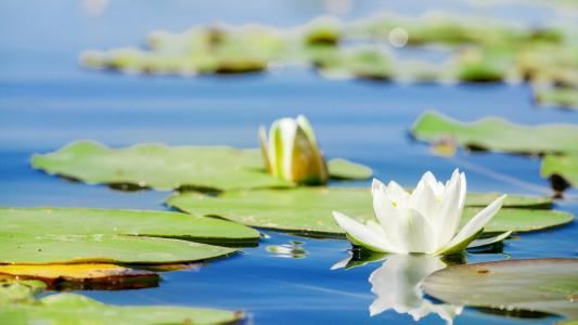 装饰工程技术员岗位职责