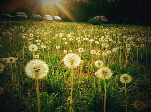 幼儿园助教岗位职责