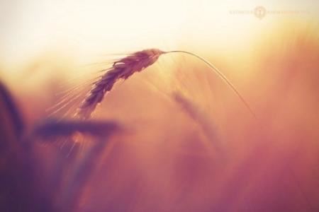 针织服装岗位职责