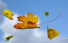 租售代表岗位职责