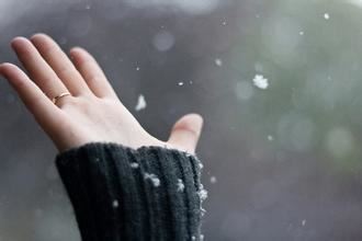 政策法规岗位职责