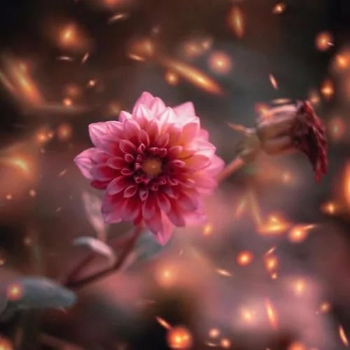 团险中介渠道岗位职责