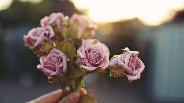 信资产管理岗位职责