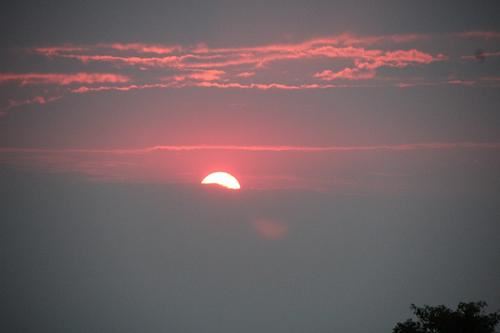 证券部门经理岗位职责