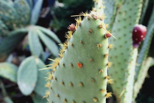 针织品设计岗位职责