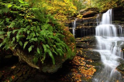 药品产品岗位职责