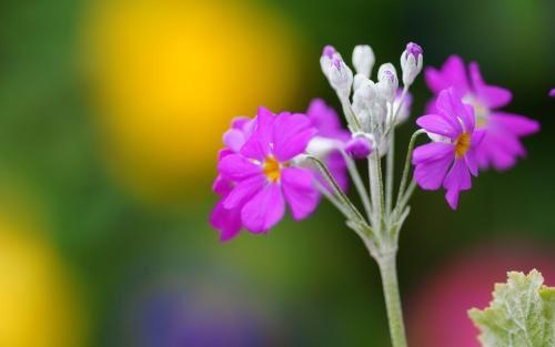助教老师岗位职责