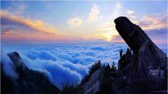 装饰预结算员岗位职责