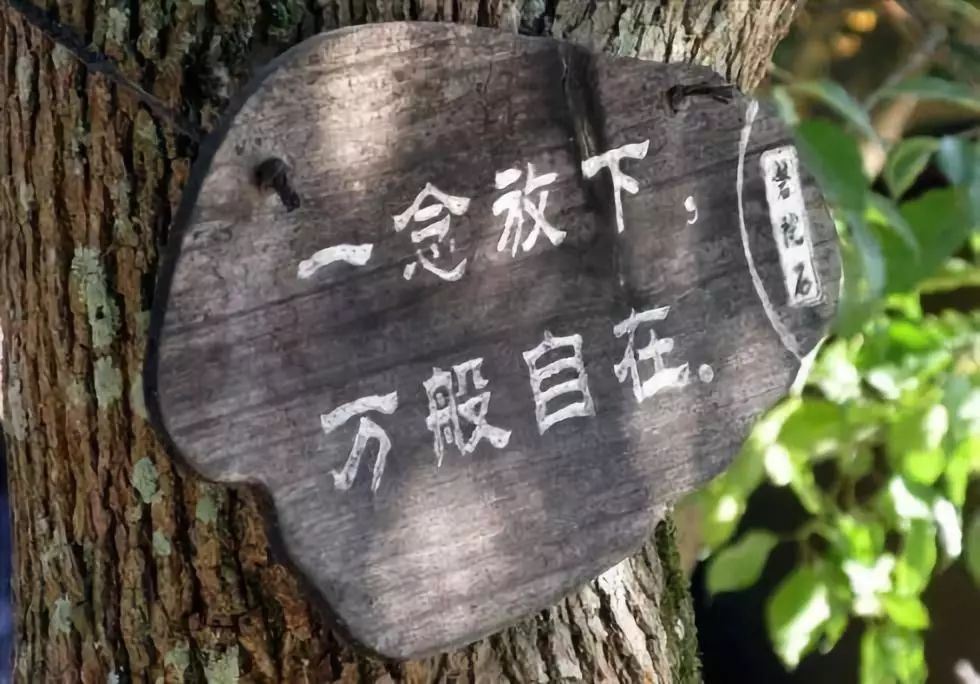 中国电信人员岗位职责