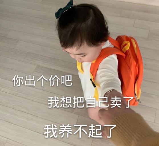 招投标采购岗位职责