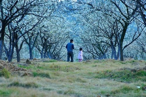 验光师岗位职责