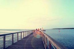 专家咨询岗位职责