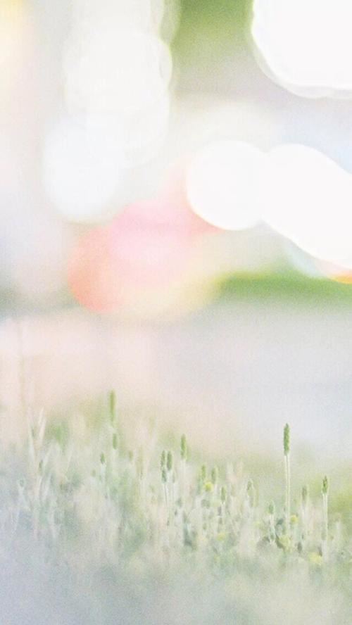 展会主持岗位职责