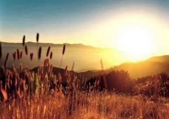 终端店业务岗位职责