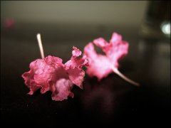 副总工岗位职责