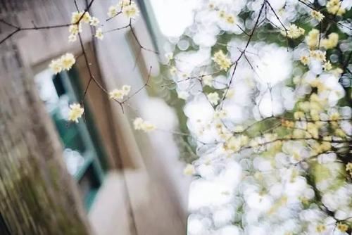 手机游戏开发工程岗位职责