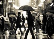 优化研究岗位职责