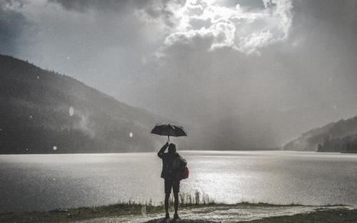 市场专干岗位职责