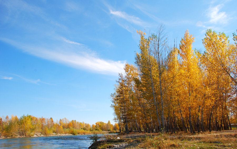 总经办主管岗位职责