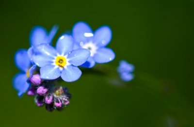 硬件研发总监岗位职责