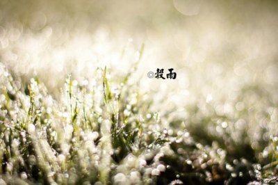 机械液压岗位职责