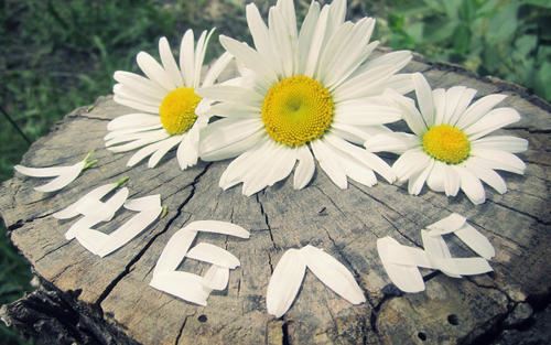 资本运营项目岗位职责