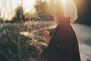 中药材采购岗位职责