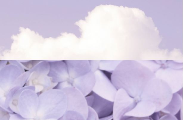 运营管理总裁岗位职责