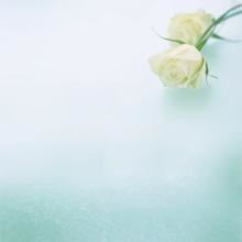 文字编辑组稿岗位职责