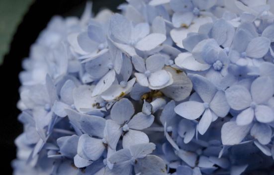 机械自动化工程师岗位职责