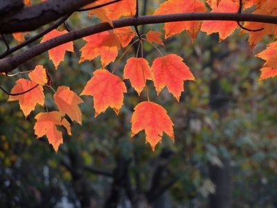 驻点技术支持岗位职责