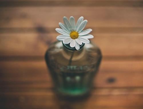 综合管理岗岗位职责