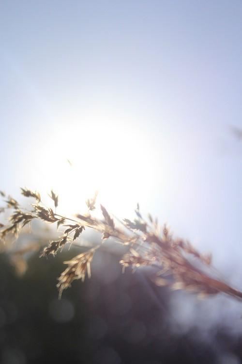 宴会销售总监岗位职责