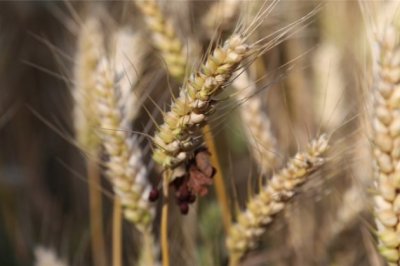 智慧城市事业部岗位职责