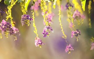 招聘医药代表岗位职责