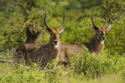 整车质量工程师岗位职责