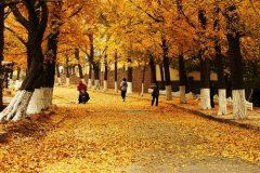 英语指导老师岗位职责