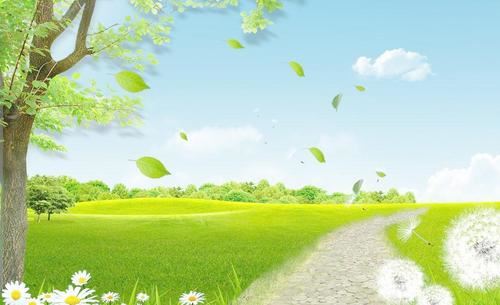 幼儿园主班老师岗位职责