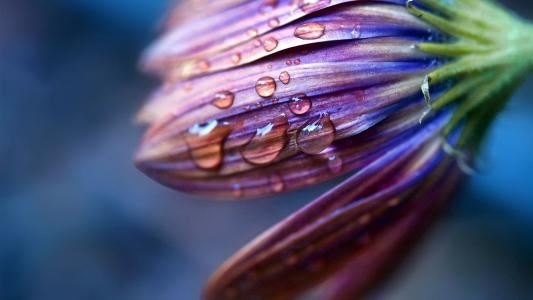 设计/装潢岗位职责