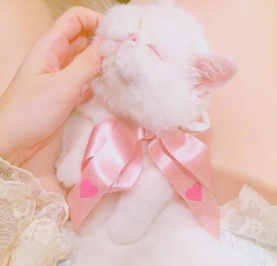 装帧设计师岗位职责