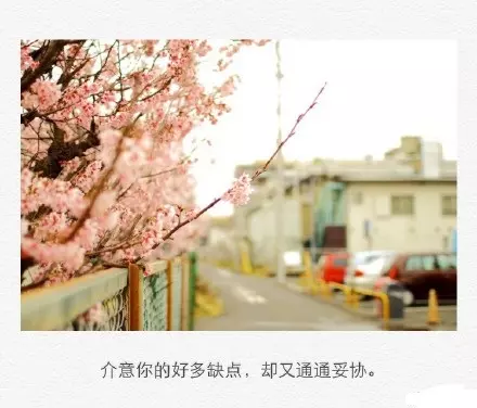 制浆工程师岗位职责