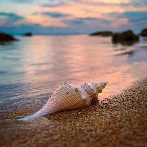 职业病医师岗位职责