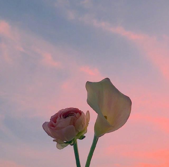 平面设计CAD制图岗位职责