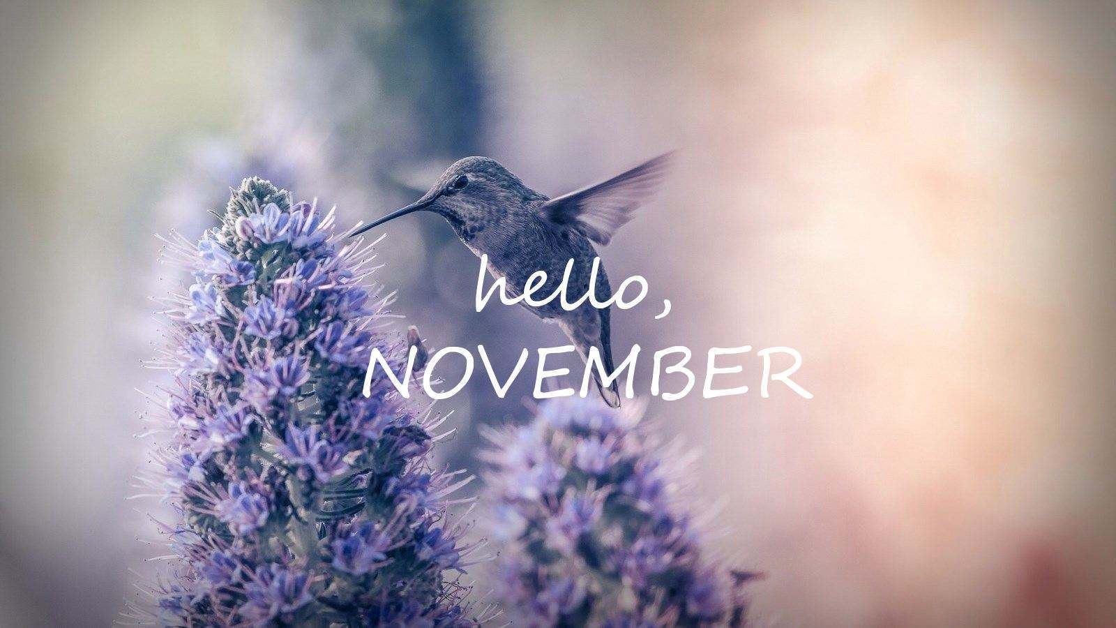 验货专员岗位职责