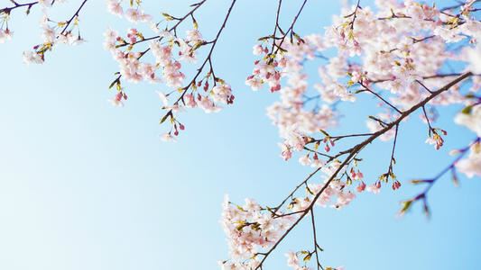 驻场物业岗位职责