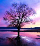 增值销售经理岗位职责